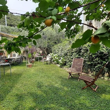 Casa Olivia Lacrema Finale Ligure Exterior photo